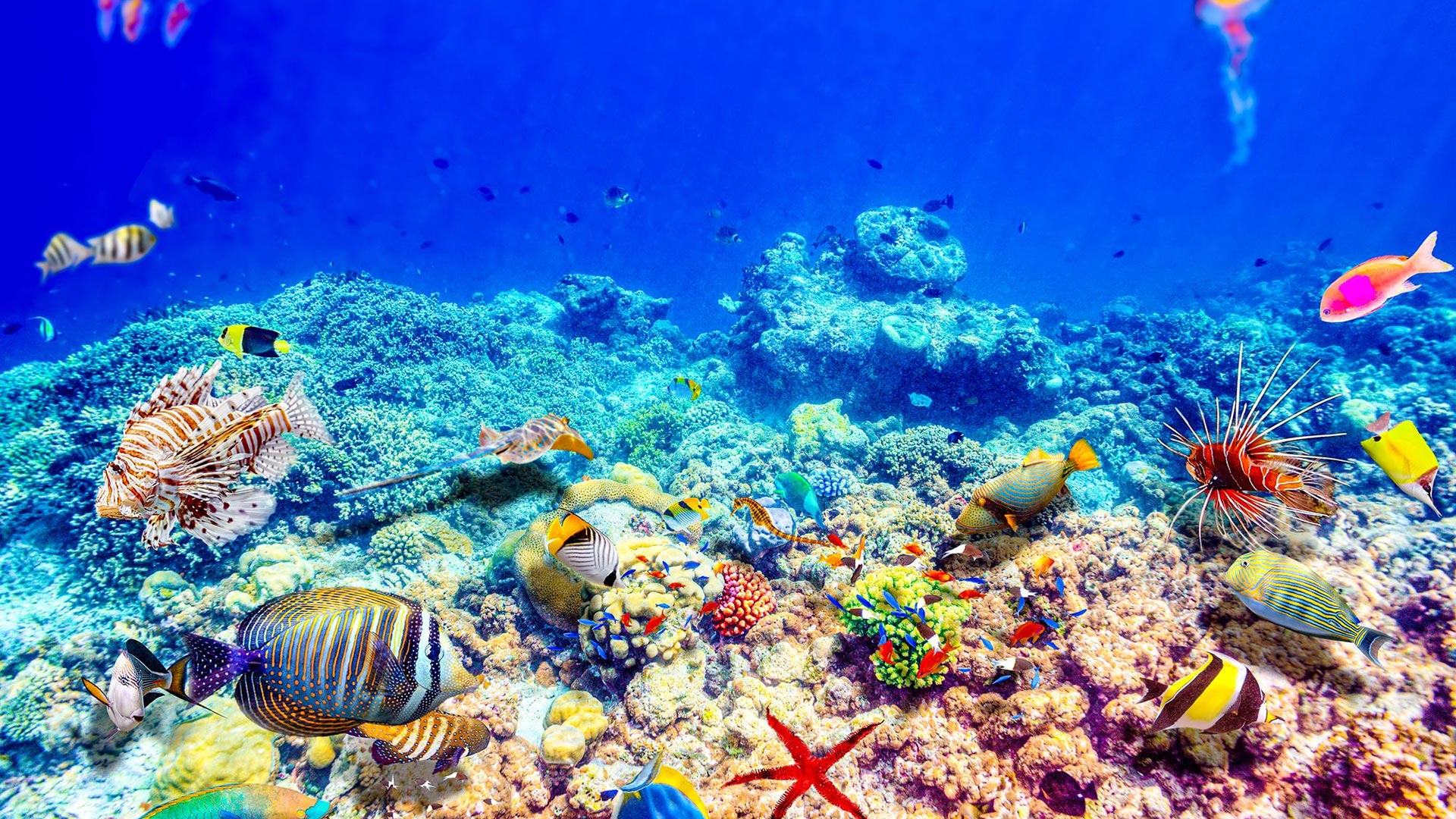 oceania